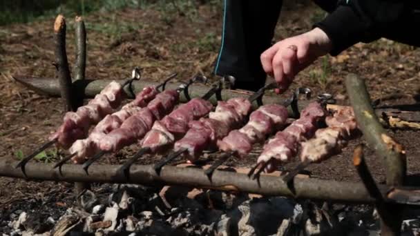 Grill, Frying Fresh Meat, Chicken Barbecue, Sausage, Kebab, Hamburger, vegetables, BBQ, Barbecue, seafood. grilled peppers and onion. Closeup sunny outdoor Chef turns the meat on the grill. — Stock Video