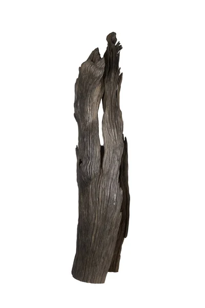 손으로 조각 한 아름다운 오크 조각품. 늙은 보그 오크 나무. — 스톡 사진
