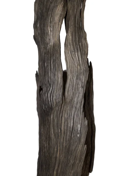 Beautiful handmade carved oak sculpture. Old bog oak. — Stock Photo, Image