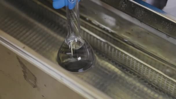 실험실에서 초음파 목욕으로 준비하는 것을 시험관에서 혼합하는 모습. — 비디오