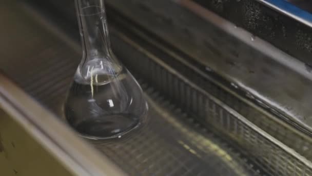 Mezcla in vitro de la preparación con un baño ultrasónico en el laboratorio . — Vídeos de Stock