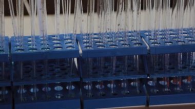 Bilim laboratuarında cam test tüpleri..