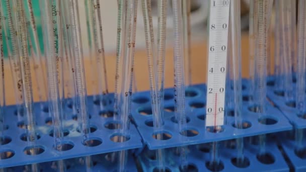 Tubos de ensayo de vidrio en un laboratorio científico . — Vídeos de Stock