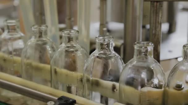 Wlewanie leku na linię montażową do szklanych butelek do wstrzykiwań. — Wideo stockowe