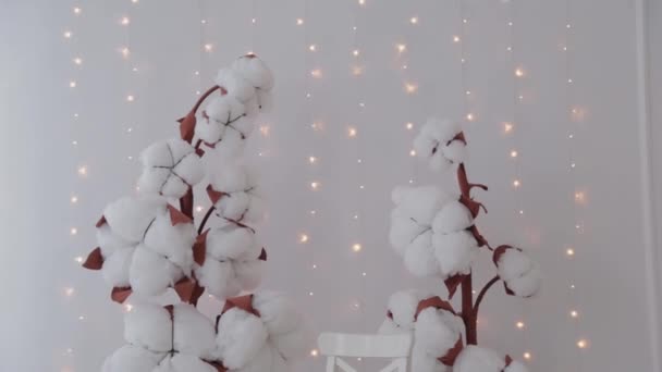 Beautiful photo zone in the studio with artificial cotton and a glowing background. — Stock Video