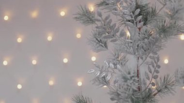 Güzel bir Noel ağacı. Yeni Yıl 2020.