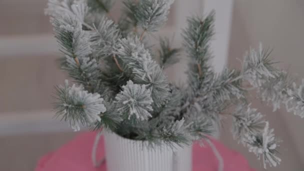 Schöner silberner Weihnachtsbaum. Neues Jahr 2020. — Stockvideo