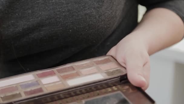 Maquilleuse professionnelle qui applique du maquillage avec une palette dans les mains . — Video