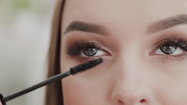 La artista profesional del maquillaje pinta las pestañas al cliente del salón de belleza . — Vídeos de Stock