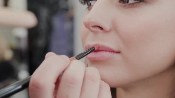 Επαγγελματική γυναίκα makeup artist ζωγραφίζει τα χείλη στον πελάτη του σαλόνι ομορφιάς. — Αρχείο Βίντεο