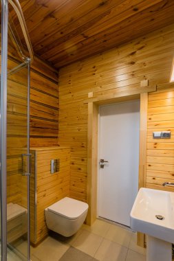 Birleşik duş ve tuvaletin modern iç tasarımı.