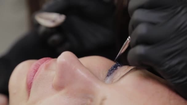 Esthéticienne professionnelle dans un salon de beauté peint des cils à un client . — Video