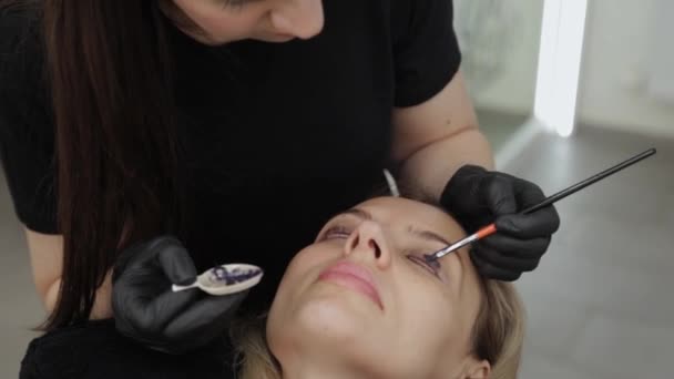 Професійний косметолог в салоні краси фарбує вії клієнту . — стокове відео