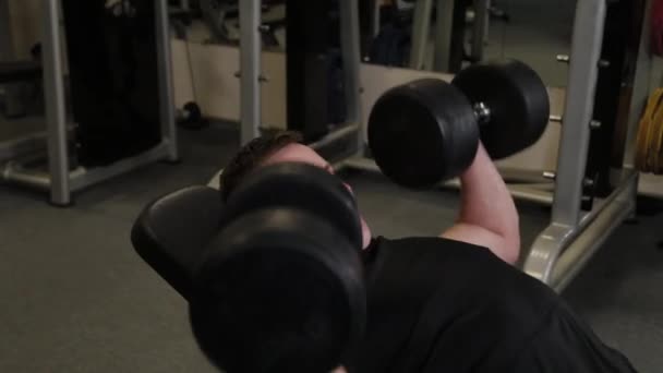 Fuerte atleta realiza press de banca dumbbell . — Vídeos de Stock