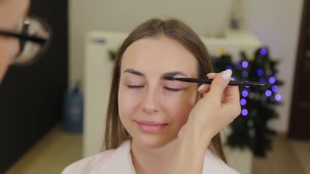 Professionele make-up kunstenaar schildert wenkbrauwen aan een klant van een schoonheidssalon. — Stockvideo