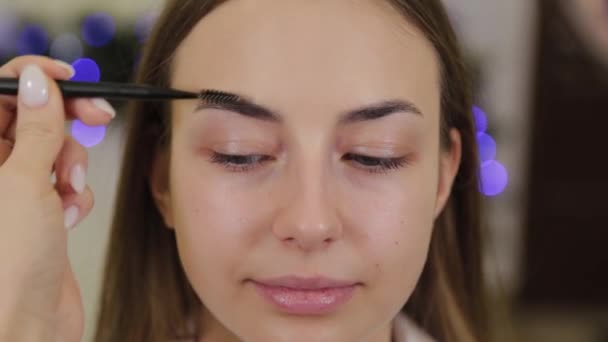 Professionele make-up kunstenaar schildert wenkbrauwen aan een klant van een schoonheidssalon. — Stockvideo