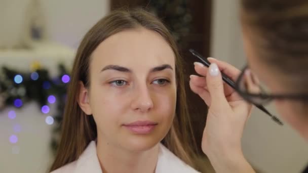 Un maquilleur professionnel peint les sourcils d'un client d'un salon de beauté . — Video