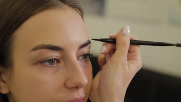 Artista de maquillaje profesional pinta cejas a un cliente de un salón de belleza . — Vídeos de Stock