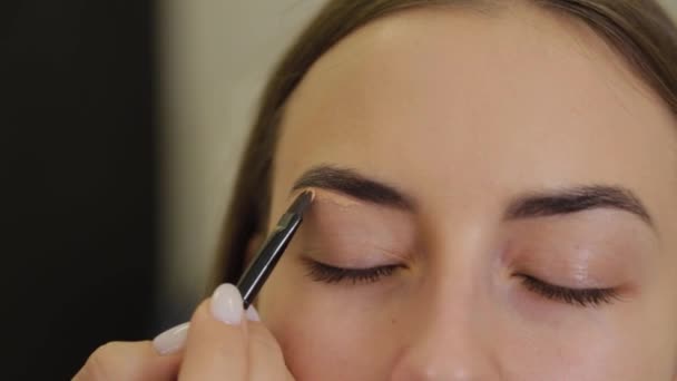 Professionell ögonmakeup. Stylist makeup artist applicerar makeup på en ung kvinna med en speciell borste i en skönhetssalong. — Stockvideo