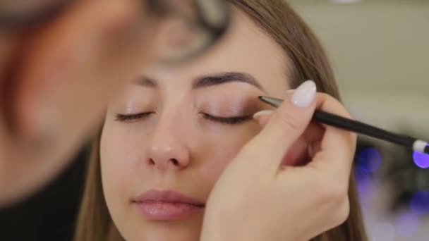 Maquillage professionnel des yeux. Styliste maquilleuse applique le maquillage à une jeune femme avec un pinceau spécial dans un salon de beauté . — Video