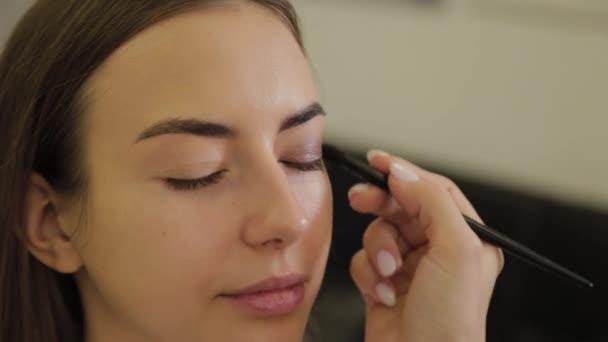 Professionell ögonmakeup. Stylist makeup artist applicerar makeup på en ung kvinna med en speciell borste i en skönhetssalong. — Stockvideo