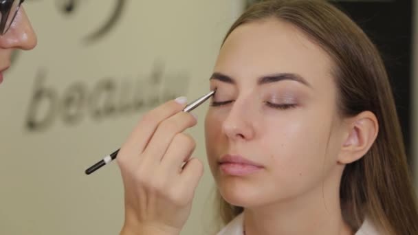 Professionele oogmake-up. Stylist make-up kunstenaar past make-up op een jonge vrouw met een speciale borstel in een schoonheidssalon. — Stockvideo