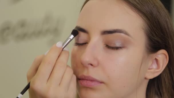 Profesionální make-up. Stylista make-up umělec aplikuje make-up na mladou ženu se speciálním štětcem v salonu krásy. — Stock video