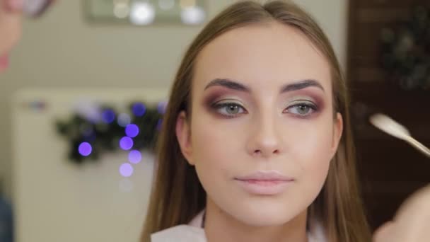 Professionell makeup artist gör makeup till en klient av en skönhetssalong. — Stockvideo