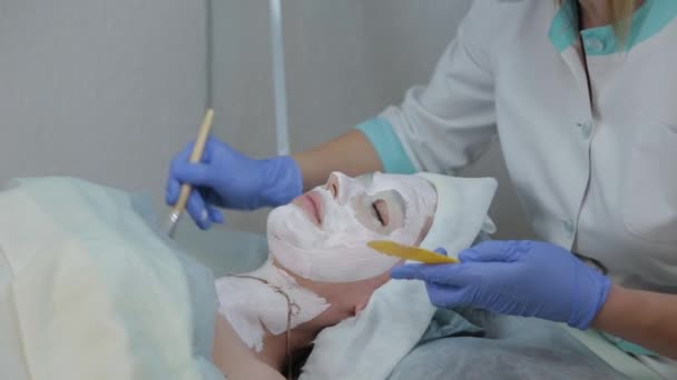 Mulher esteticista profissional aplicando máscara ao cliente com pincel facial . — Vídeo de Stock