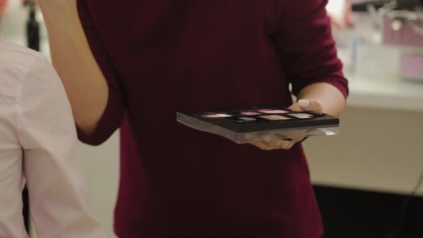 Artista de maquillaje profesional con una paleta en la mano hace maquillaje . — Vídeos de Stock