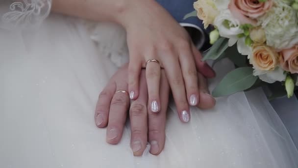幸福的新婚夫妇互相爱抚着手. — 图库视频影像