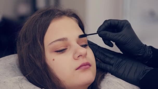 Professionell mästare ögonbrynskvinna kammar ögonbryn till kund i en skönhetssalong. — Stockvideo