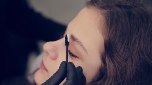 Profesional maestro de cejas mujer peinando las cejas al cliente en un salón de belleza . — Vídeos de Stock