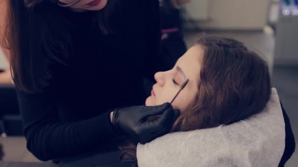 Profesional maestro de cejas mujer peinando las cejas al cliente en un salón de belleza . — Vídeo de stock