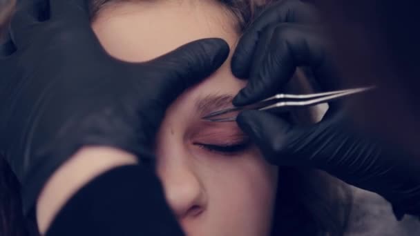 Professionell mästare ögonbrynskvinna plockar ögonbryn med pincett till kund i skönhetssalong. — Stockvideo