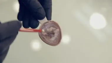 Profesyonel kaş ustası kadın bir güzellik salonunda kaş boyası sürüyor..
