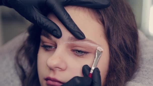 Profissional mestre sobrancelha mulher desenha sobrancelhas para o cliente em um salão de beleza . — Vídeo de Stock