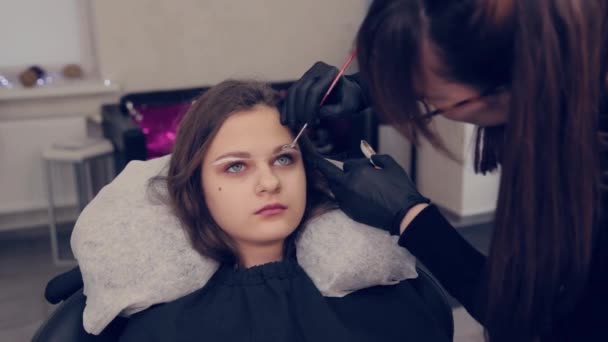 La mujer maestra profesional de las cejas pinta las cejas al cliente con el pincel en el salón de belleza . — Vídeo de stock