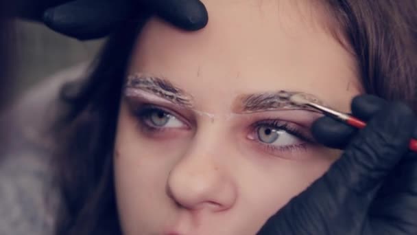 Professionnel maître sourcil femme peint les sourcils au client avec une brosse dans un salon de beauté . — Video