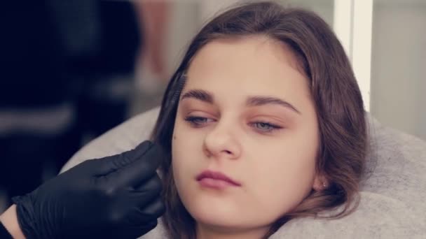 Professionell mästare ögonbrynskvinna kammar ögonbryn till kund i en skönhetssalong. — Stockvideo