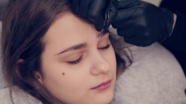 Profesional maestro de cejas mujer arrancando las cejas con pinzas al cliente en el salón de belleza . — Vídeos de Stock