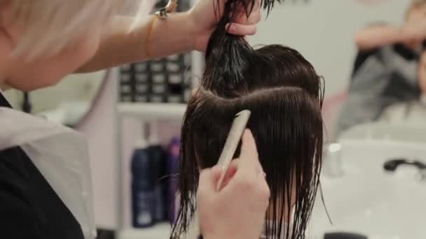 Επαγγελματική κομμώτρια γυναίκα κάνει χτένισμα σε βρεγμένα μαλλιά στην πελάτισσα. — Αρχείο Βίντεο