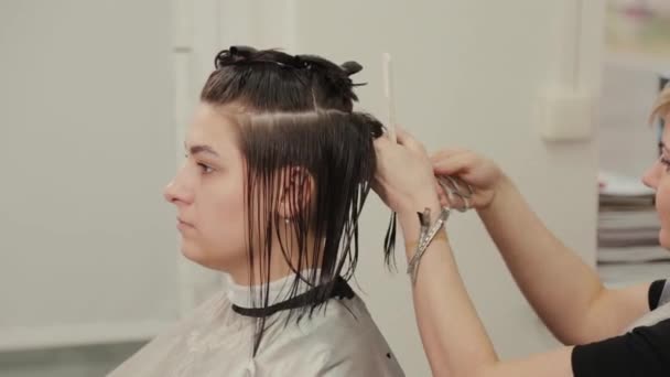 Peluquería profesional mujer haciendo peinado en el pelo mojado al cliente . — Vídeo de stock