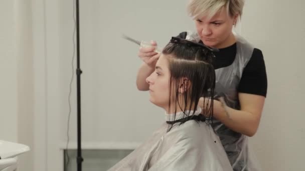 Coiffeur professionnel femme faisant coiffure sur cheveux mouillés au client . — Video