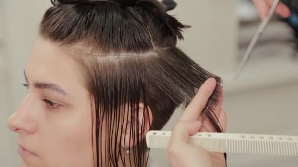 Professionele kapper vrouw doet kapsel op nat haar klant. — Stockvideo