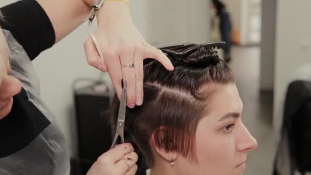 Peluquería profesional mujer haciendo peinado en el pelo mojado al cliente . — Vídeos de Stock