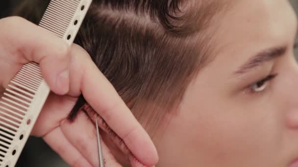 お客様に濡れた髪にヘアスタイルを行うプロの美容師の女性. — ストック動画