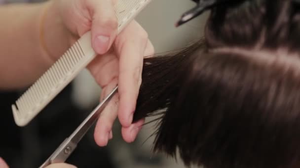 Peluquería profesional mujer haciendo peinado en el pelo mojado al cliente . — Vídeos de Stock