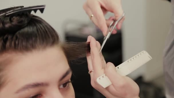 Parrucchiere professionista donna facendo acconciatura su capelli bagnati al cliente . — Video Stock