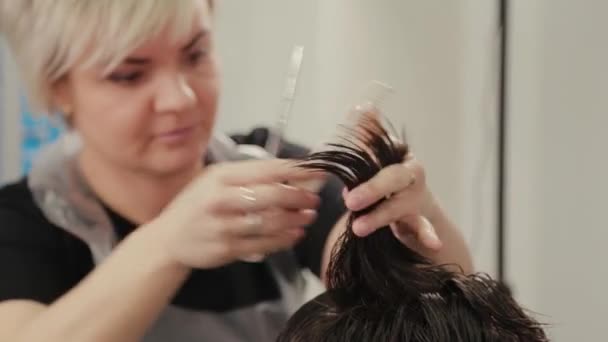 Coiffeur professionnel femme faisant coiffure sur cheveux mouillés au client . — Video